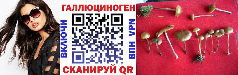 Купить закладки  Калининец  Галлюциногенные грибы Magic Shrooms 